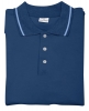 Tricou polo pique AndrÃ© Philippe ; cod produs : AP810803-06a