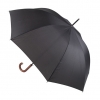 umbrella; cod produs : AP808410-10