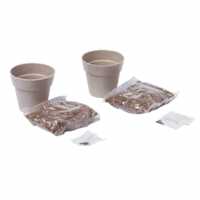 herb pot set | AP781236