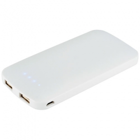 PB-4000 Zippy Slim Dual Powerbank | 12366700