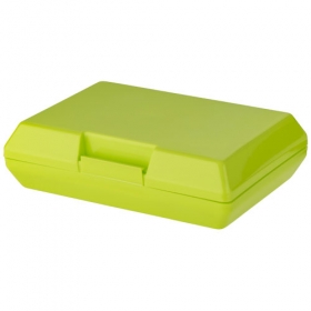 Oblong lunch box;11271004