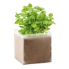 Compost cu seminÈ›e \"BASIL\"     MO9545-13; cod produs : MO9545-13