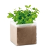 Compost cu seminÈ›e \"MINT\"      MO9546-13; cod produs : MO9546-13