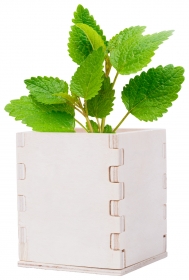 mint herb pot | AP721179