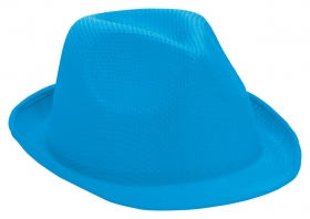 hat | AP791198-06V