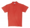 pique polo shirt; cod produs : AP4136-05